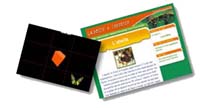 Boite à insectes